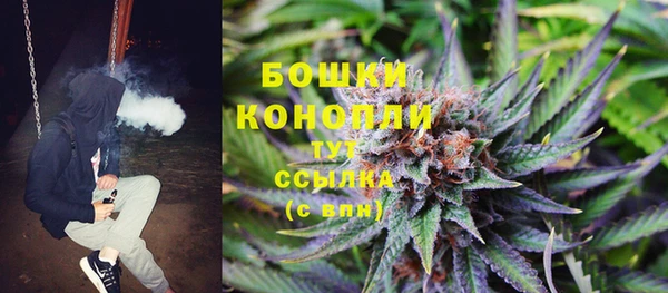 молекула духа Армянск