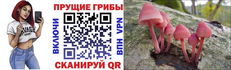 Галлюциногенные грибы ЛСД наркошоп Ревда